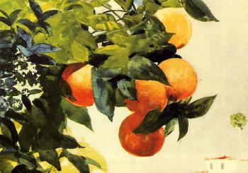 溫斯洛 荷默 Oranges on a Branch 溫斯洛 荷默 Oranges on a Branch